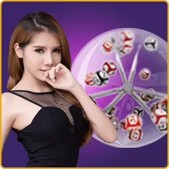 24Dspin